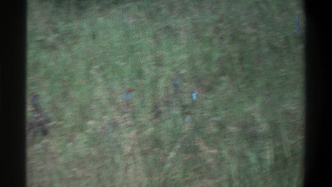 Soft 8mm frame from the Lagos, Nigeria, 1969 clip showing blurred green grass and heavy film-edge shadowing.