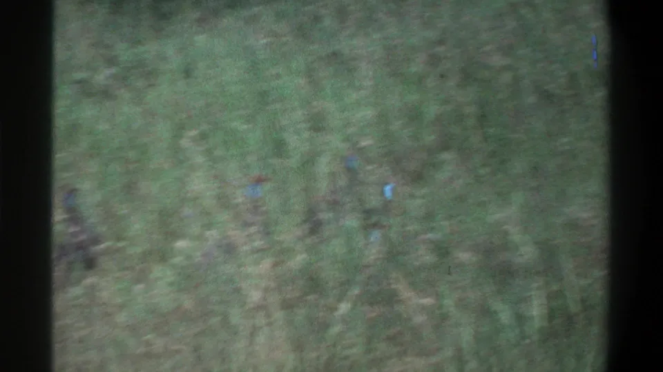 Soft 8mm frame from the Lagos, Nigeria, 1969 clip showing blurred green grass and heavy film-edge shadowing.