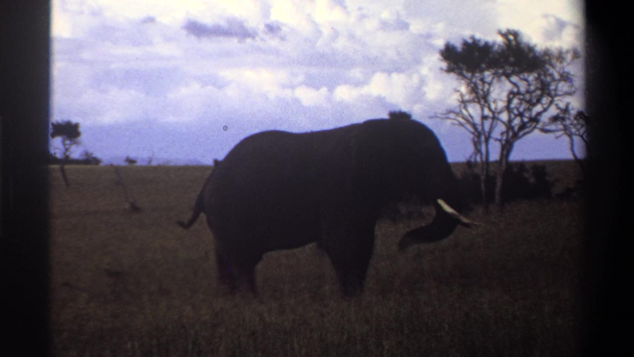 1969 Nigeria 8mm frame showing an elephant in profile moving across open grassland near sparse trees under a clouded sky.