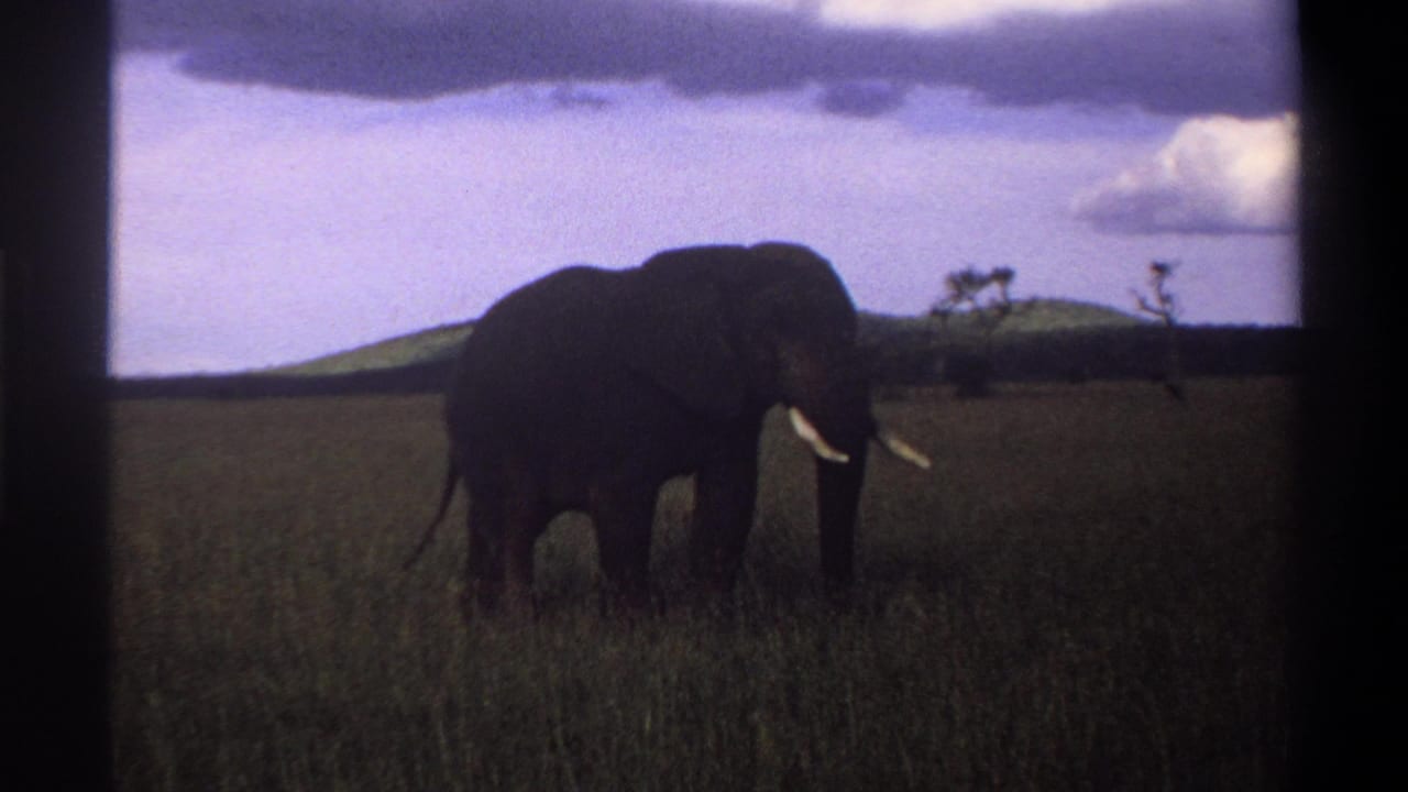 1969 Nigeria 8mm frame with a darker, wider view of the elephant in grassland below a clouded sky.
