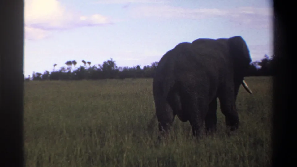 1969 Lagos-area 8mm frame showing the elephant receding through open grassland with a cloudy sky and low trees beyond.