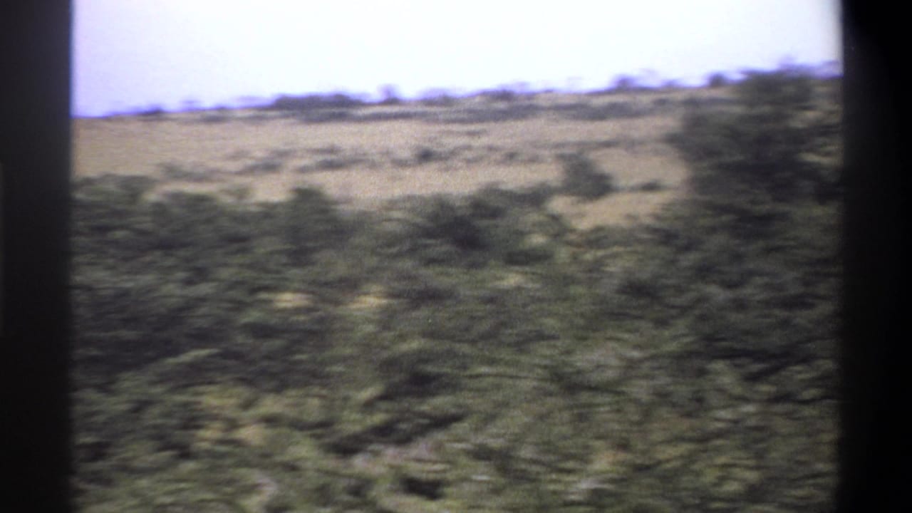 1969 Nigeria 8mm frame showing empty scrubland, low bushes, dry grassland, pale sky, and dark film borders.