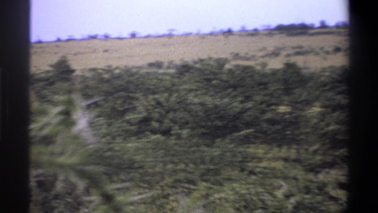 1969 Lagos, Nigeria 8mm frame showing dense brush, a dry hillside, pale sky, and no clearly visible animal in this moment.