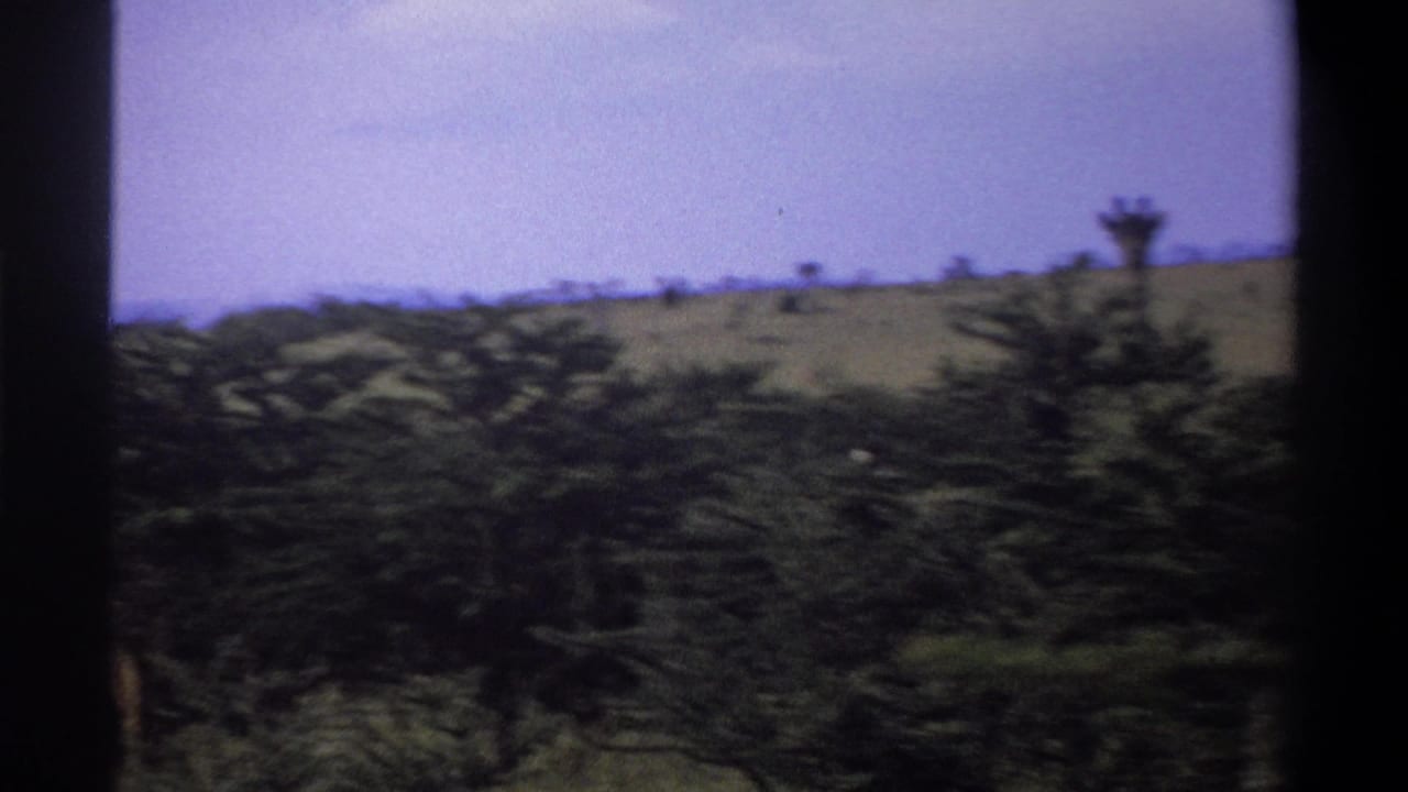 1969 Lagos, Nigeria 8mm frame with a distant giraffe near the right edge, seen past motion-blurred brush and a dry hillside.