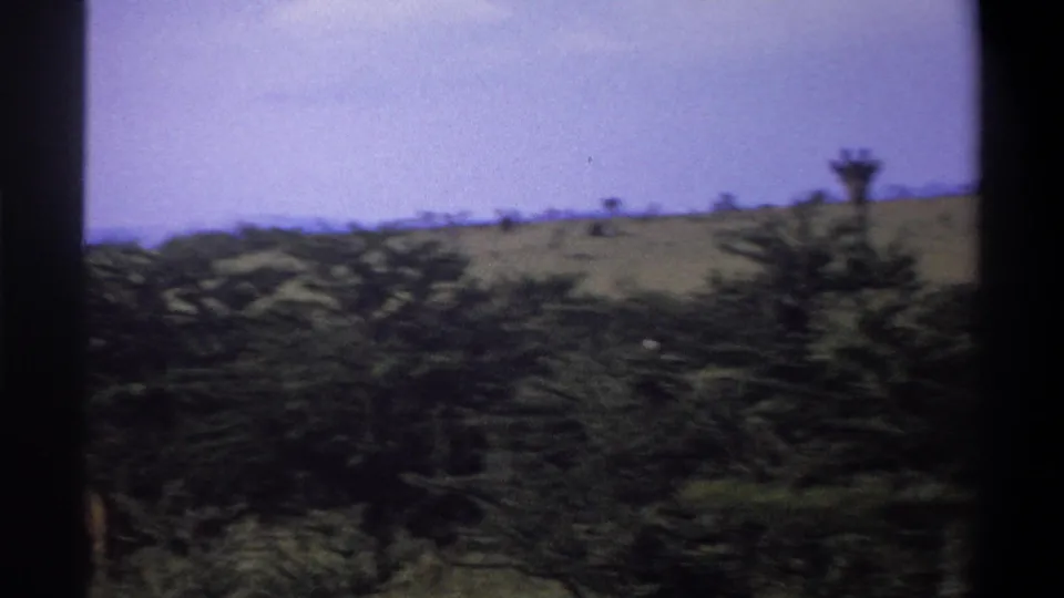 1969 Lagos, Nigeria 8mm frame with a distant giraffe near the right edge, seen past motion-blurred brush and a dry hillside.
