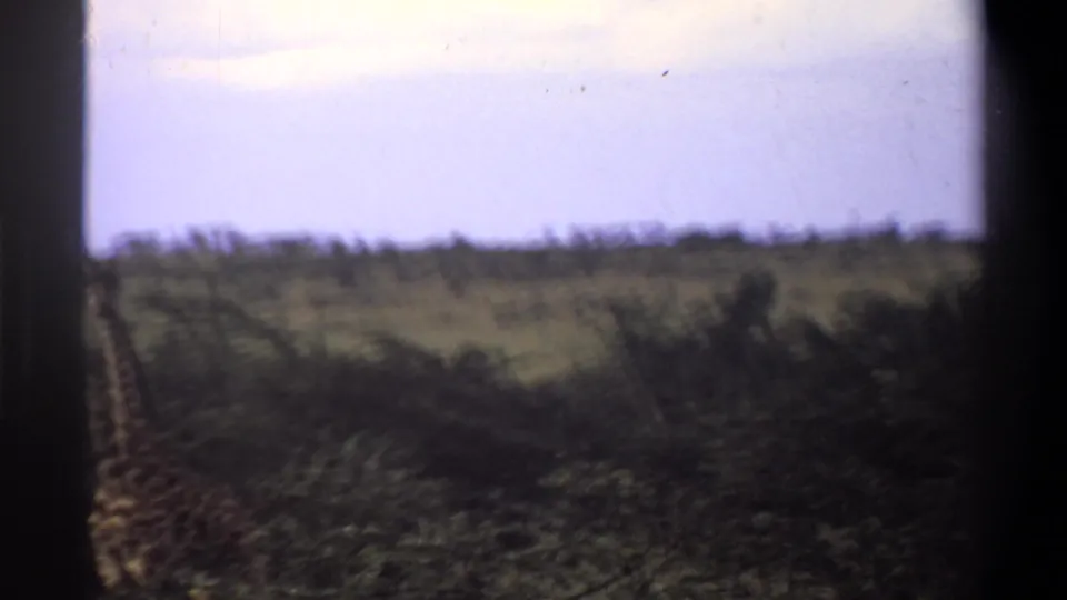 1969 Lagos, Nigeria 8mm frame with a giraffe partly visible near the lower edge of an open, shrub-covered savanna view.