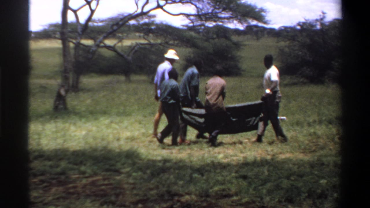 The team moves the stretchered animal through grass, with scattered trees visible in the background.