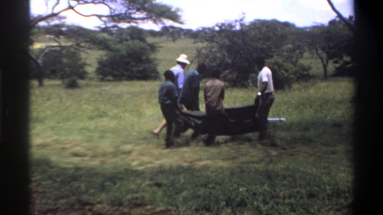 Later frame shows the group continuing across the grass with the stretchered animal in a rural field setting.