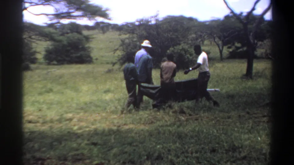 In 1969 Lagos, Nigeria footage, several men walk across grass while carrying a dark elongated object between them.