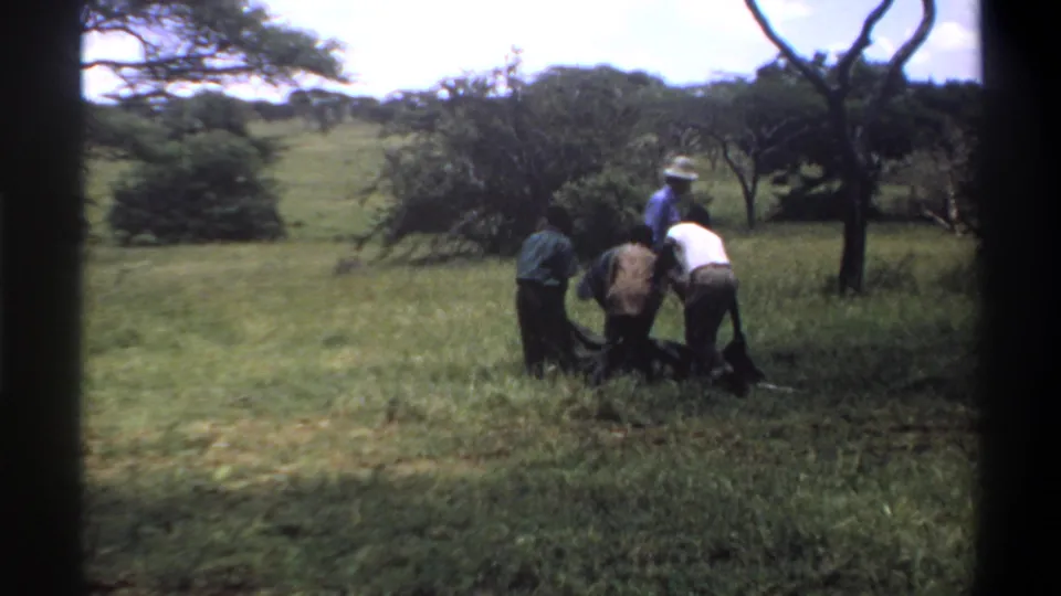Men in a grassy Nigerian clearing appear to lower or adjust a dark object during the 1969 home-movie scene.