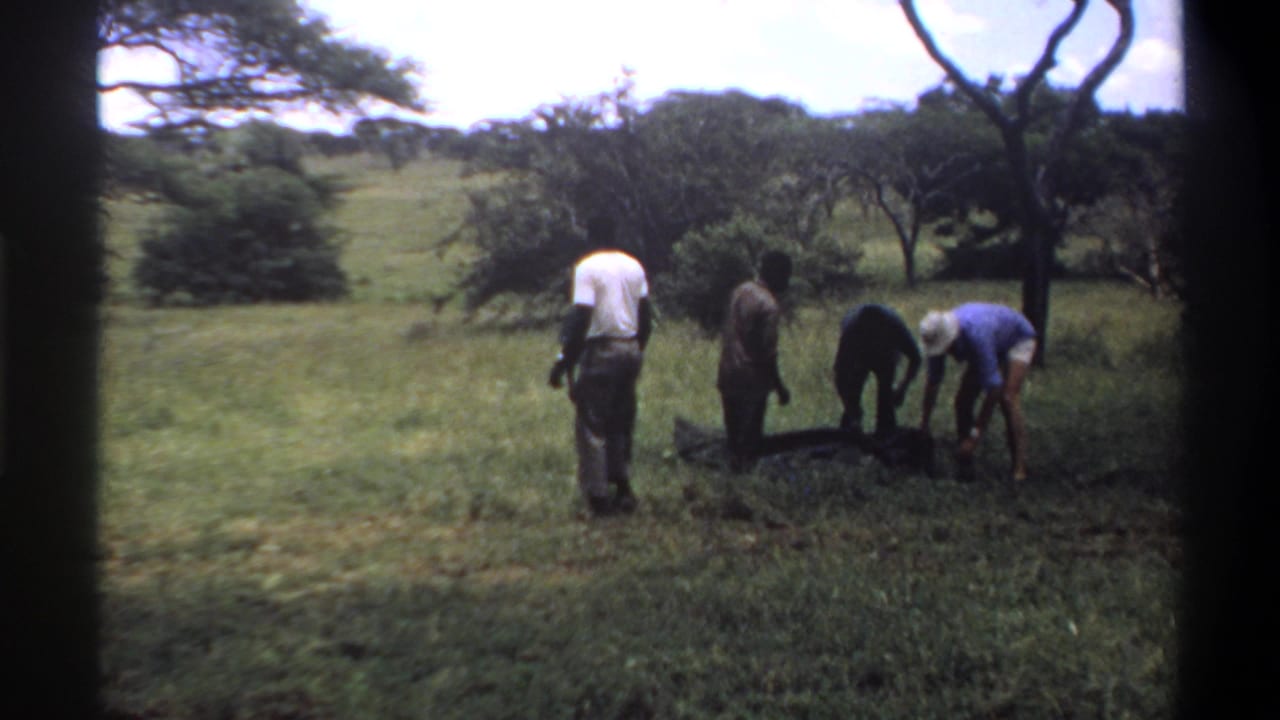 In the final frame, men in casual clothing stand or bend near the dark object in the grassy Lagos-area clearing.
