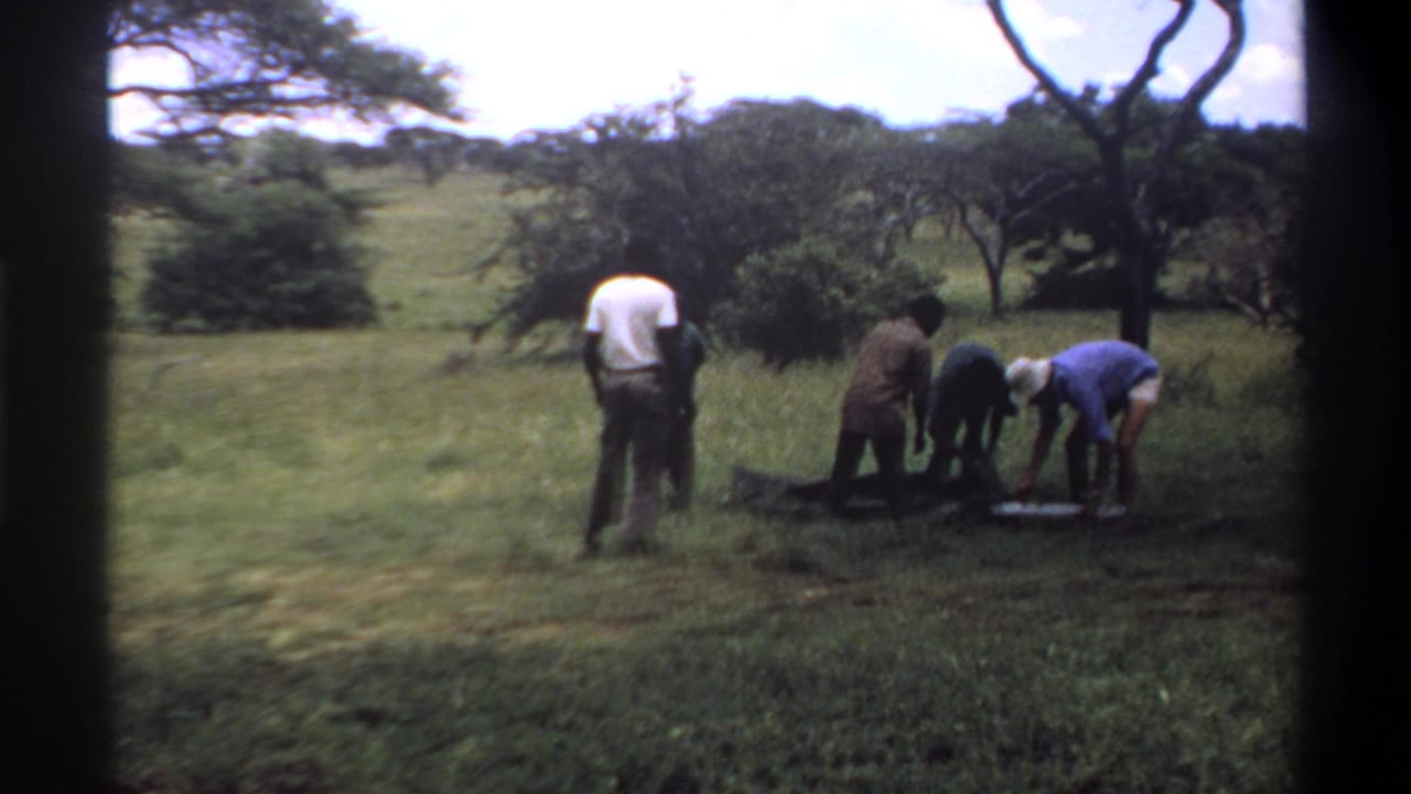 In 1969 Lagos, Nigeria footage, several men work around a dark bag or bundle on grass while trees and bright sky fill the background.