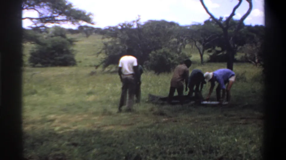In 1969 Lagos, Nigeria footage, several men work around a dark bag or bundle on grass while trees and bright sky fill the background.