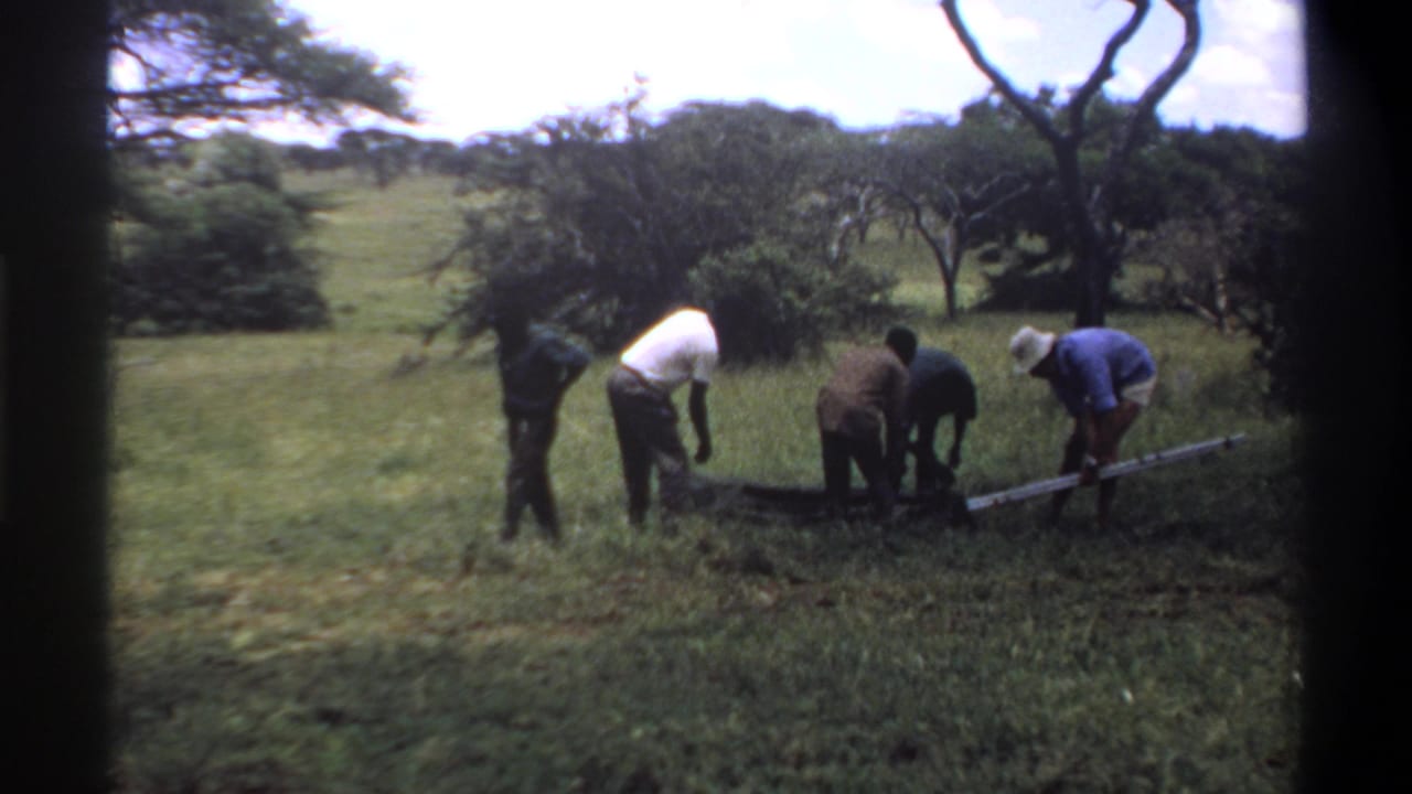 A group of men work near a dark ground bundle while a long pale pole extends to the right.