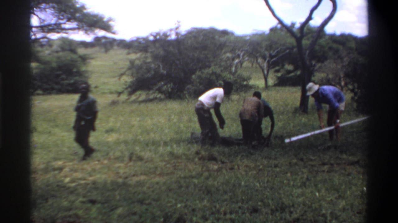 The 1969 Lagos, Nigeria home-movie frame shows men around a dark bundle in tall grass, with a pale pole or rod extending across the scene.