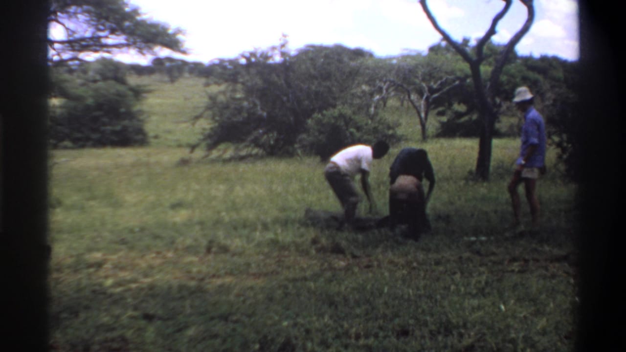 At the end of the Lagos, Nigeria 1969 clip, two men bend over a dark ground object while a man in blue stands near a tree.