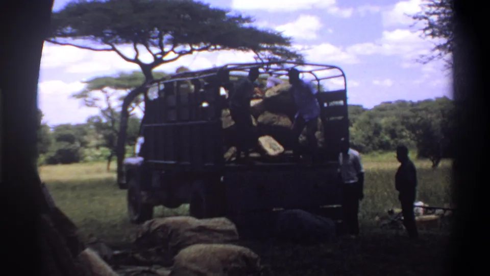 1969 Lagos, Nigeria footage showing men beside an open-sided truck as large sacks or animal carcasses lie in the foreground.