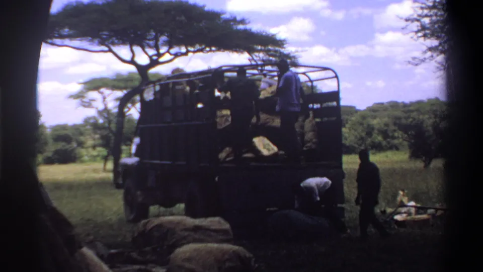 1969 Lagos, Nigeria footage with men around an open-sided truck, large sacks or carcasses on the ground, and trees in the background.