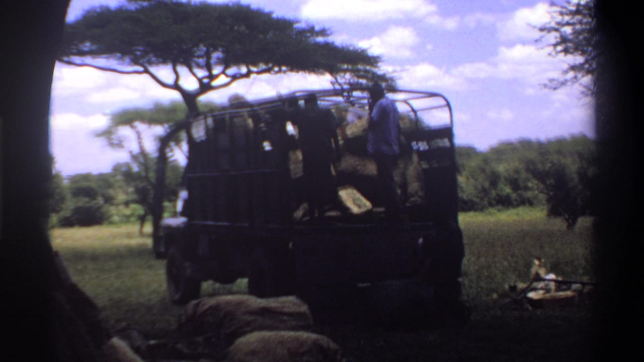 1969 Lagos, Nigeria 8mm frame showing an open truck in a field as adult men handle sacks or bundles near trees.