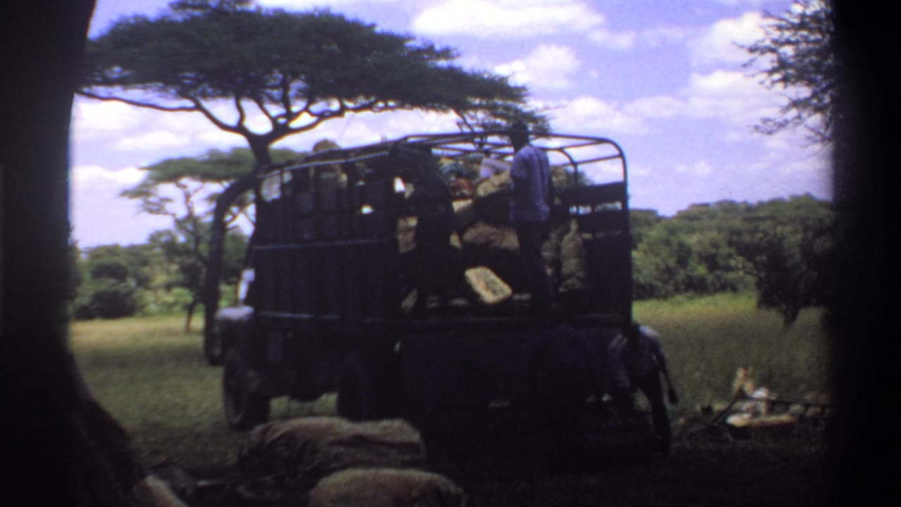 Worker stands on the rear of an open truck with cargo in a field.