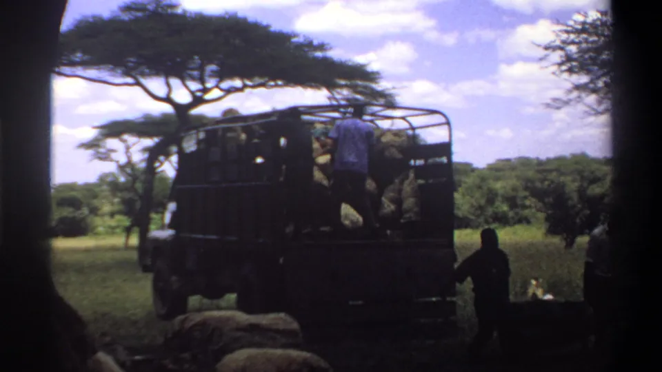 Adult men continue cargo handling around an open truck in a shaded Lagos field, captured on soft 1969 8mm film.
