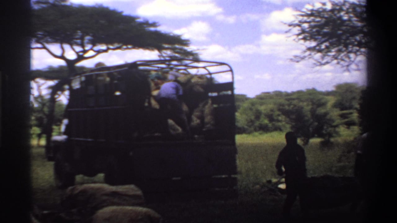 1969 Lagos, Nigeria 8mm frame showing men by an open-sided truck in grass with trees and sky behind them.