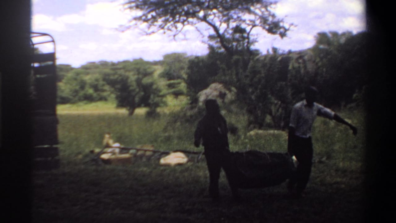 1969 Lagos, Nigeria frame with two men carrying or guiding a covered load across grass near an open truck and trees.