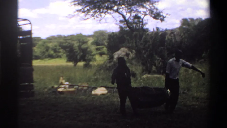 1969 Lagos, Nigeria frame with two men carrying or guiding a covered load across grass near an open truck and trees.