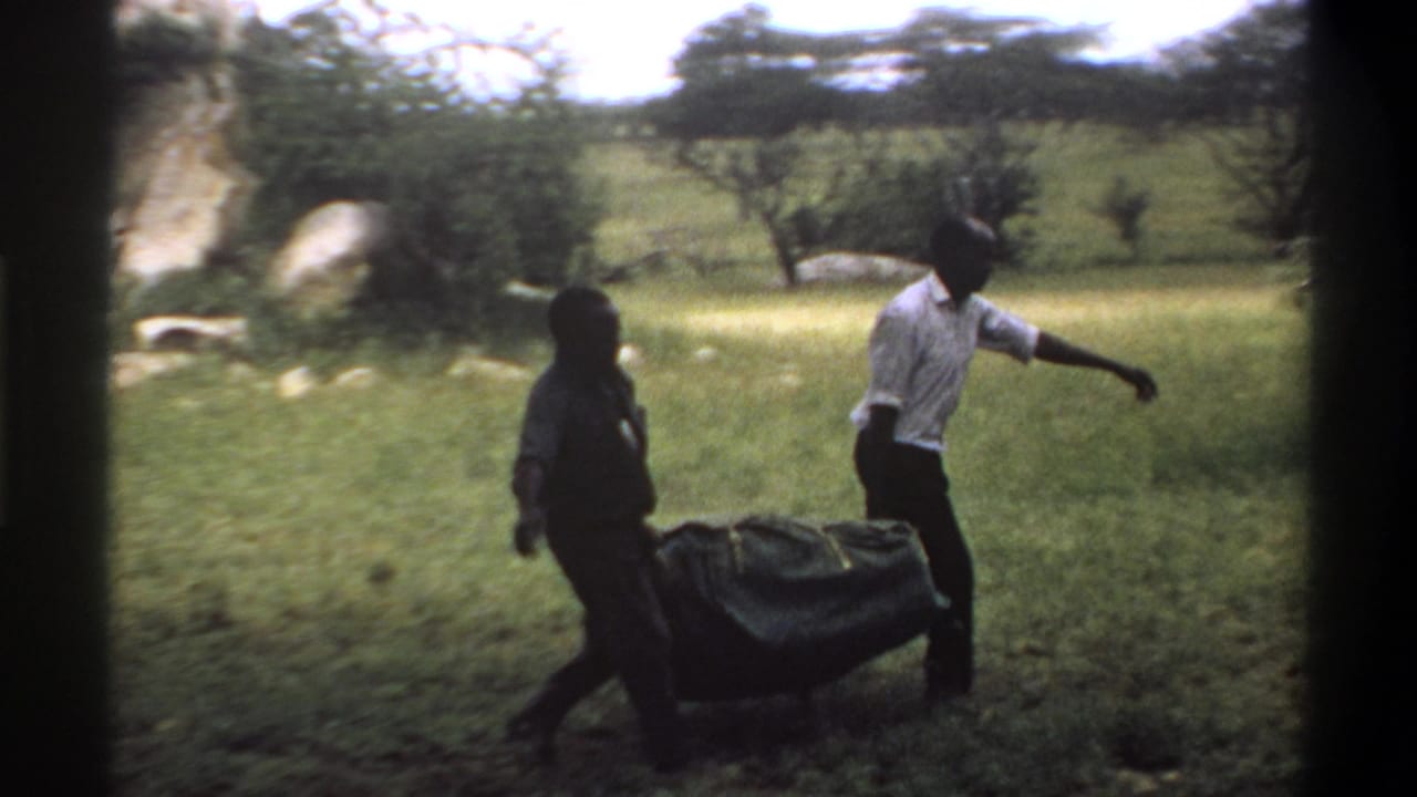 In supported 1969 Lagos home-movie footage, two men move a large green covered sack through a grassy field with scattered trees.