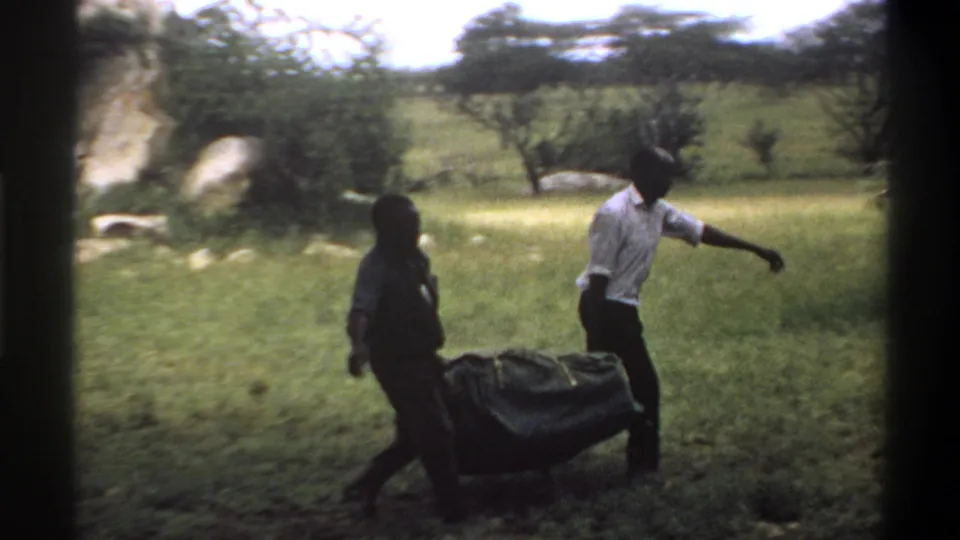 In supported 1969 Lagos home-movie footage, two men move a large green covered sack through a grassy field with scattered trees.