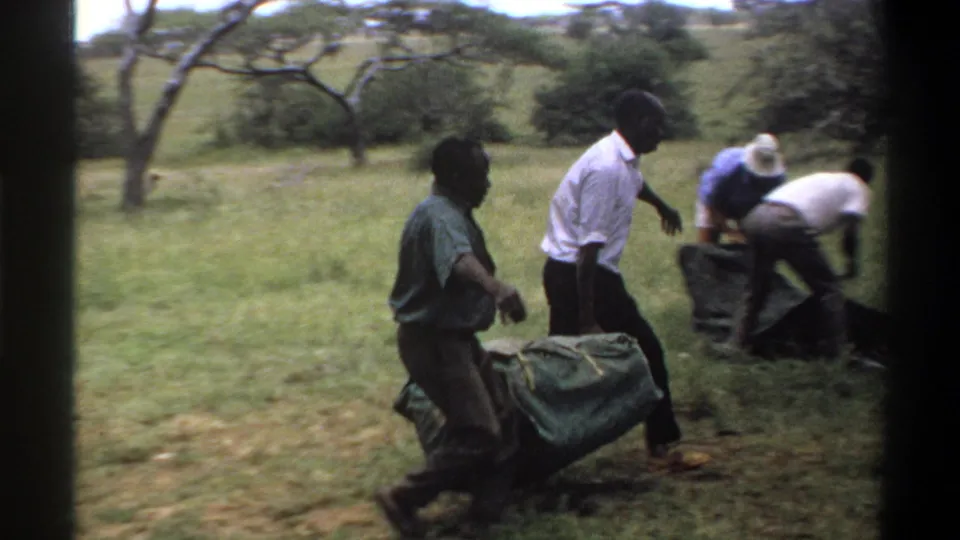 Two men carry the covered sack as other figures appear nearby in the grassy 1969 Lagos outdoor scene.