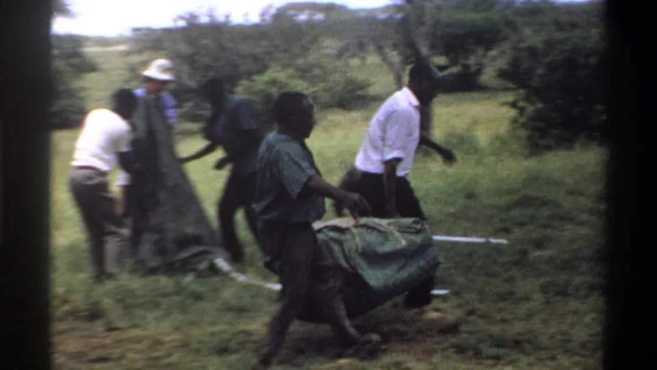 Near the end of the 1969 Lagos clip, several people are visible around trees as the covered load is carried through grass.