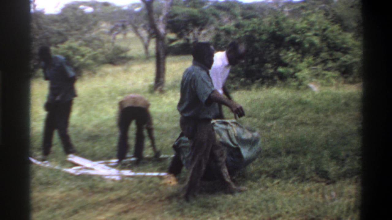 In Lagos, Nigeria, 1969 metadata context, several men work in grass near trees, with one carrying fabric and another bending over a light cloth.