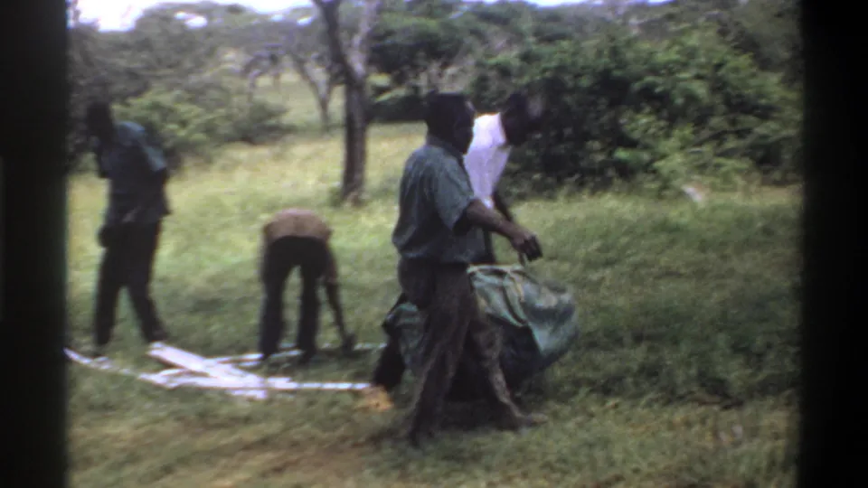 In Lagos, Nigeria, 1969 metadata context, several men work in grass near trees, with one carrying fabric and another bending over a light cloth.