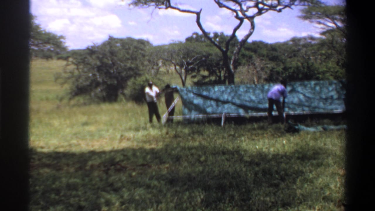 Men working around a green tarp in a grassy field with trees behind them.