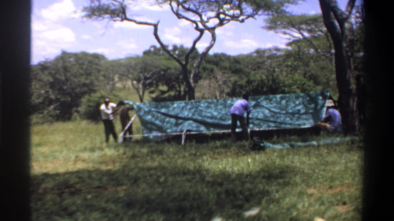 Several men adjust a green tarp stretched across a low frame outdoors.