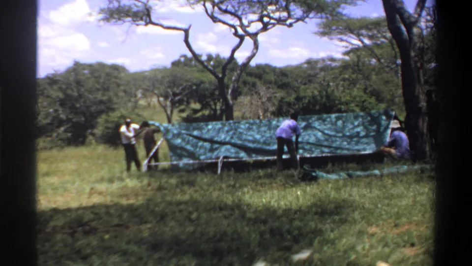 1969 Lagos footage frame with men spaced around a green tarp and simple frame in a tree-lined field.