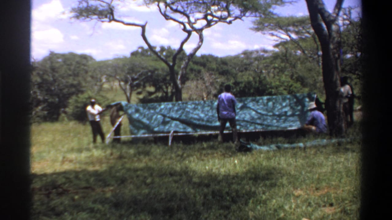1969 Lagos home-movie still showing men gathered around a green tarp and frame in open grassland.