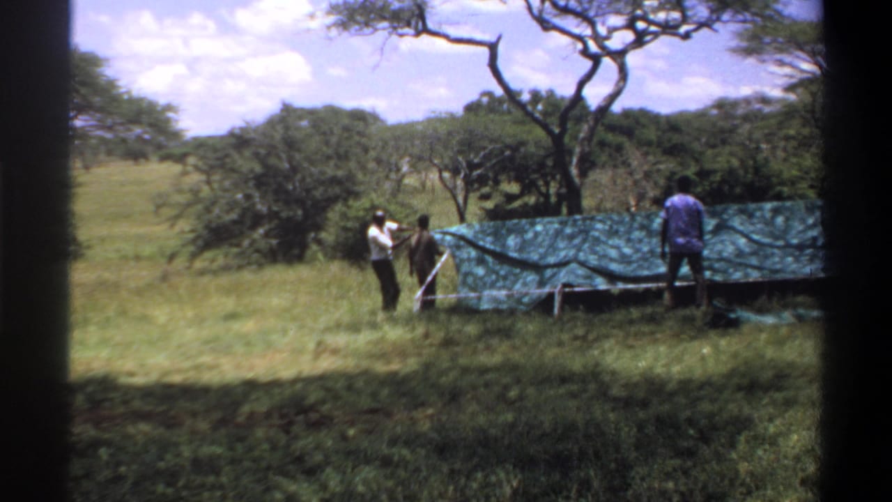 1969 Lagos frame showing men beside a green tarp structure, with grass, bushes, and trees in the background.