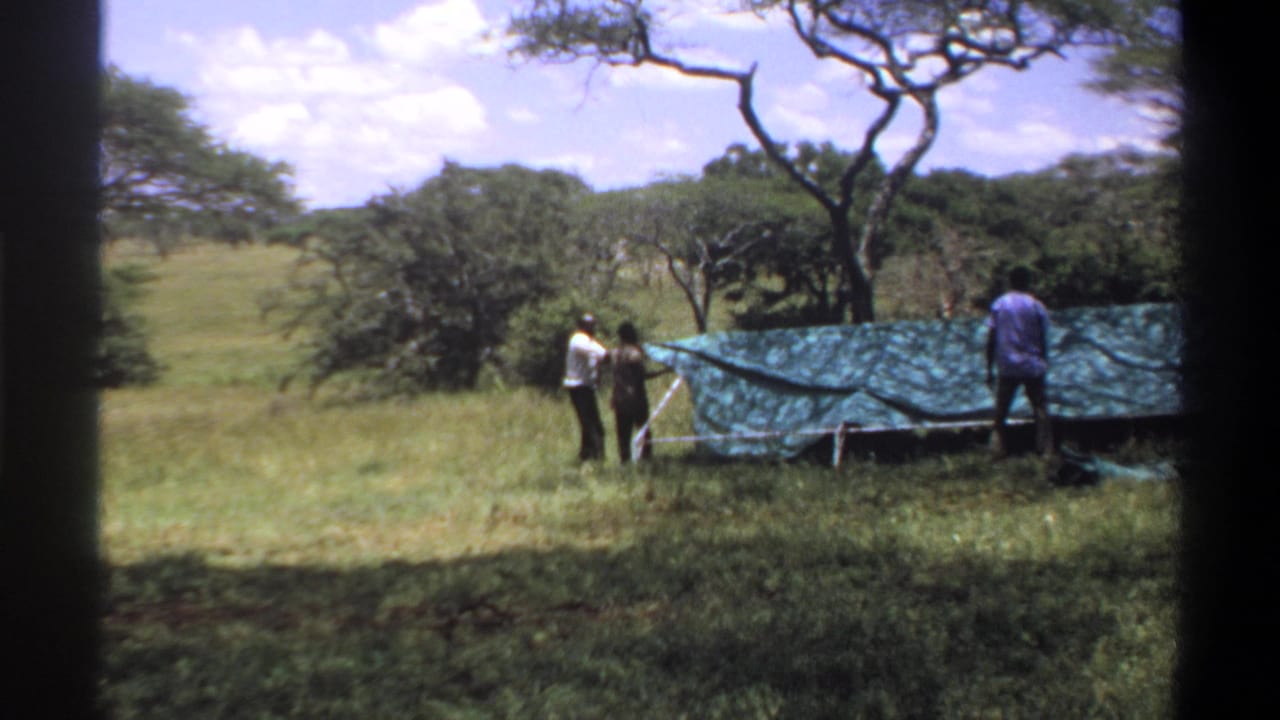 Men pull a green tarp over a pole frame in a grassy landscape.