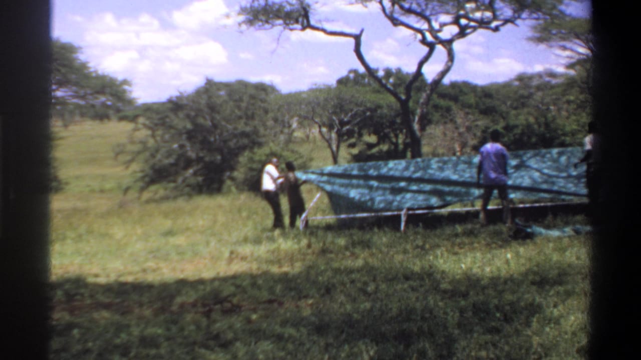 Men in shirts and trousers stand along a green tarp-covered frame in an open grassy area, with trees and hills in the background.