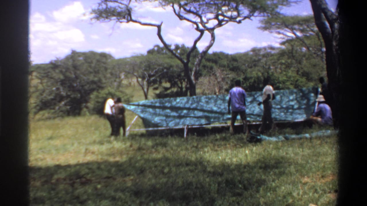 A small group works around a green tarp roof on a low pole frame, filmed from a home-movie viewpoint in the outdoor Lagos-area scene.