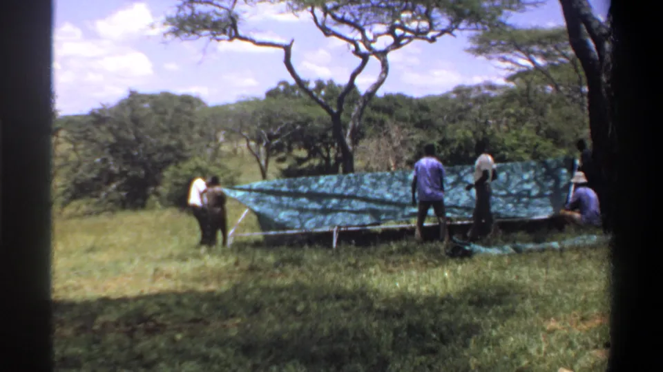 A small group works around a green tarp roof on a low pole frame, filmed from a home-movie viewpoint in the outdoor Lagos-area scene.