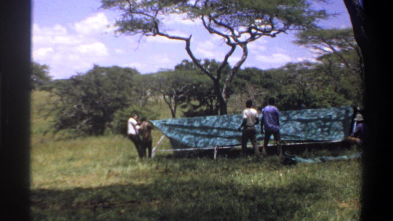 Men stand in a grassy field beside a long green tarp under trees.