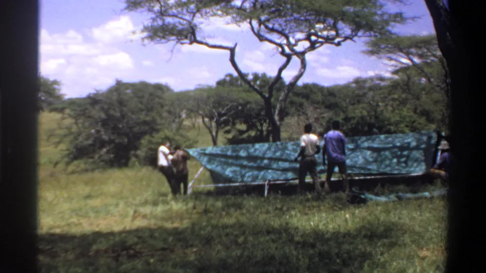 In Lagos, Nigeria in 1969, men appear to work around a green tarp shelter frame in a grassy field with trees behind them.
