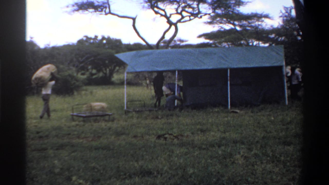A man carries what appears to be hay or bundled grass toward a green tarp shelter in a Lagos field, with other men nearby.