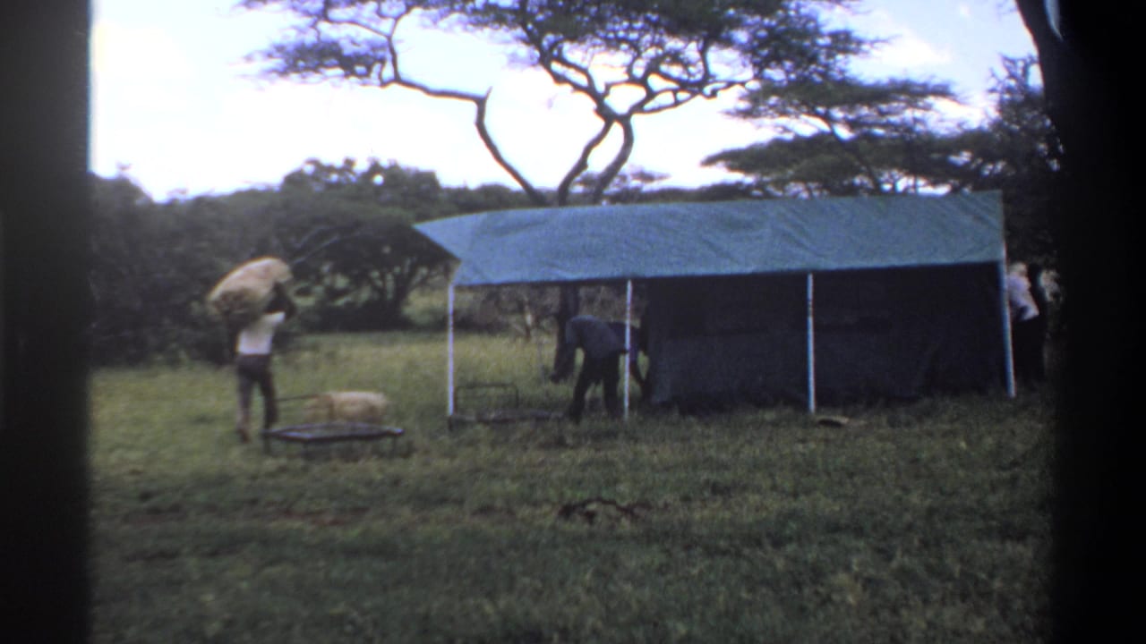 Men adjust or prepare the side of a green tarp shelter in a grassy Lagos field while a bundle lies near a low cart.