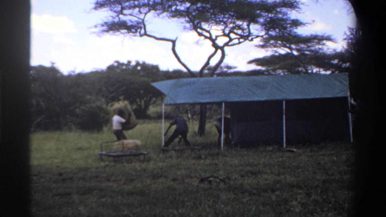 Two men continue work near the edge of a green tarp shelter in a grassy Lagos setting, framed by trees and daylight.