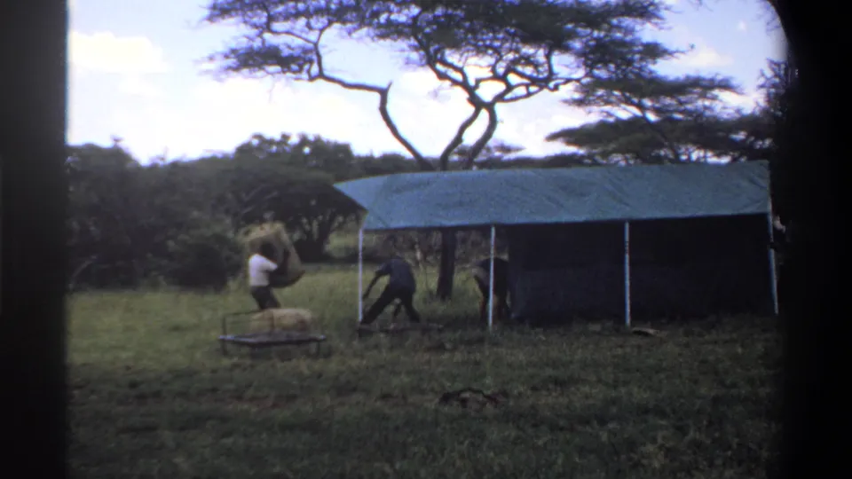 Two men continue work near the edge of a green tarp shelter in a grassy Lagos setting, framed by trees and daylight.