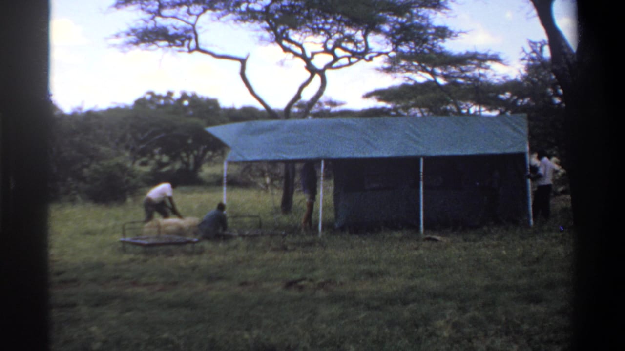 Several people gather near hay or bedding beside a canvas shelter in grass.